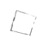parostoday-logo-white