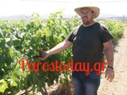 Παρουσίαση των κρασιών από το «Κτήμα Ρούσσος» (Vids)