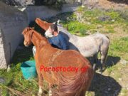Στ. Φραγκούλης | Η ευτυχία δίπλα στα άλογα! (ΒΙΝΤΕΟ)
