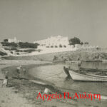 avlitis4