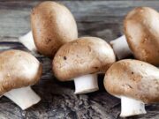 Η αξία των μανιταριών στη διατροφή μας