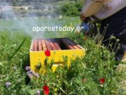 Ενημέρωση προς κτηνοτρόφους και μελισσοκόμους της Πάρου
