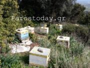 Νέο ΔΣ στους μελισσοκόμους Πάρου