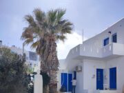 Δενδροφύτευση στη Νάουσα