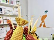 Ενίσχυση για τα αδέσποτα ζώα της Πάρου