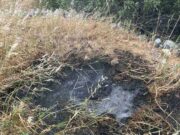 Συλλήψεις για την πυρκαγιά στον Έλητα | Πώς ξεκίνησε