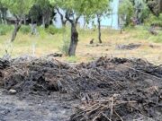 «Βροχή» τα πρόστιμα για καύση σε χορτολιβαδική έκταση στην Πάρο