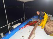 Δημήτρης Σκιαδάς | Από τους τελευταίους ψαράδες στην Πάρο (ΒΙΝΤΕΟ)