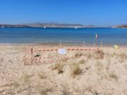 Το νου μας στη χελώνα καρέτα – καρέτα