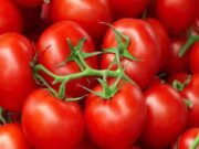 Οι ντομάτες δεν μπαίνουν στο ψυγείο!