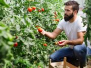 Παράταση στην πρόσκληση για την εγκατάσταση νέων αγροτών