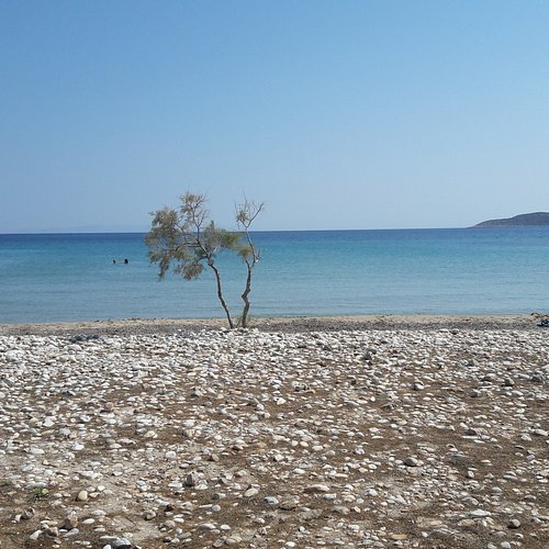 paralia