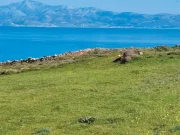 Ποια οικόπεδα σε Πάρο και Αντίπαρο, πωλούνται έναντι εκ. ευρώ