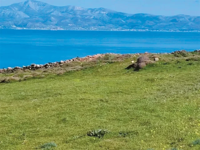 paros-xrysi-akti