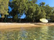 Θετική ανταπόκριση για την Πάρο