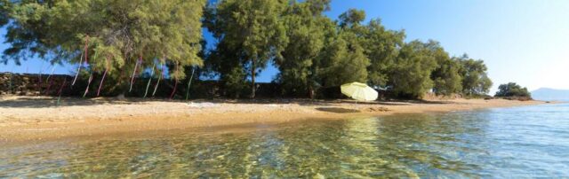 psaraliki