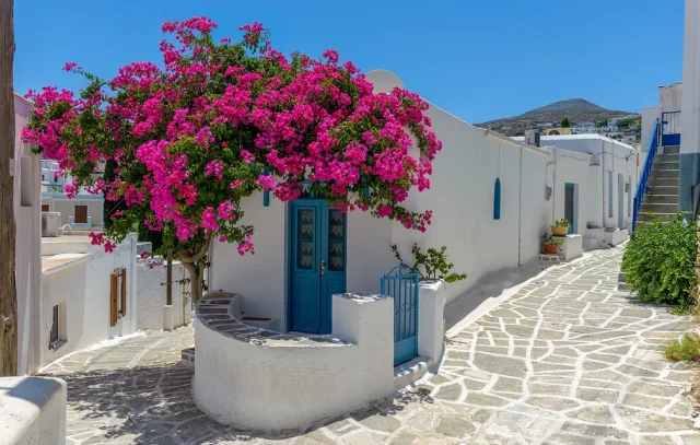 lefkes_paros1