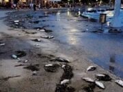 Γιατί γέμισε νεκρά ψάρια η παραλία του Βόλου;