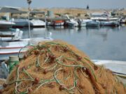 Παράνομη Αλιεία στην Πάρο: Κατάσχεση 47 Κιλών Ψαριών από το Λιμεναρχείο