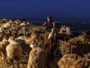 Η αληθινή ζωή των Κυκλάδων: Γυναίκα τυροκόμος ετών 40, στη Μάρπησσα της Πάρου