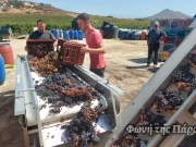 Η δημιουργία του παριανού οίνου από τον Κ. Ρούσσο (Βίντεο)