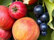 Τα φρούτα με τα περισσότερα φυτοφάρμακα