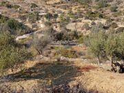Η ξερολιθιά διαμόρφωσε τη φυσιογνωμία της Πάρου Η περιβαλλοντική ομάδα του πολιτιστικού συλλόγου «Αρχίλοχος», με τον σύλλογο Μ.Ε.Ε.Α.Σ «Υρία» Λευκών και τον σύλλογο Λευκιανών Αθήνας, διοργάνωσαν το δεύτερο εργαστήρι ξερολιθιάς στην κοινότητα Λευκών, το Σάββατο και την Κυριακή 2-3 Νοεμβρίου.