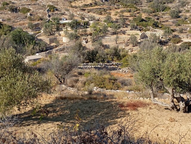 Η περιβαλλοντική ομάδα του πολιτιστικού συλλόγου «Αρχίλοχος», με τον σύλλογο Μ.Ε.Ε.Α.Σ «Υρία» Λευκών και τον σύλλογο Λευκιανών Αθήνας, διοργάνωσαν το δεύτερο εργαστήρι ξερολιθιάς στην κοινότητα Λευκών, το Σάββατο και την Κυριακή 2-3 Νοεμβρίου.