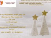 Εκδήλωση του συλλόγου γυναικών Νάουσας