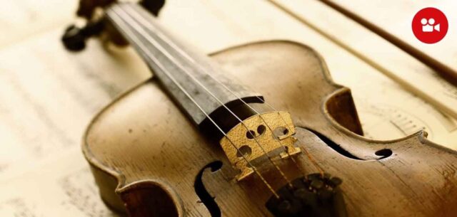 violi