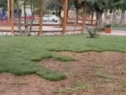 Έκλεψαν γκαζόν… από τον δήμο Ελληνικού!