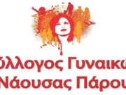 Δράσεις συλλόγου γυναικών Νάουσας