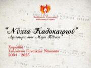 Συναυλία – αφιέρωμα στον Μίμη Πλέσσα στη Νάουσα