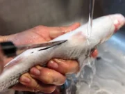 Πώς θα καθαρίσουμε τα «δύσκολα» ψάρια