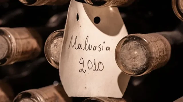 Malvasia