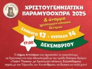 Χριστουγεννιάτικη γιορτή στην Αντίπαρο