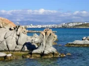 Οι Γερμανοί αποθεώνουν Κίμωλο, Πάρο, Σύρο και Μήλο