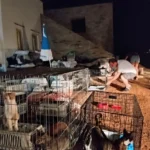 gates paros fotia 3