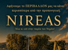 Εγγραφές παιδιών στο ποδόσφαιρο του ΑΜΕΣ “Νηρέας”