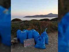 Δράση καθαρισμού παραλίας, από τον σύλλογο Αγίου Γεωργίου Αντιπάρου