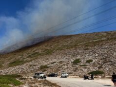 Συναγερμός για νέα φωτιά στην Πάρο | Άμεση κινητοποίηση και κατάσβεση (ΒΙΝΤΕΟ)