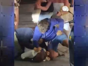 Έσπασαν στο ξύλο τουρίστα στη Μύκονο γιατί κλώτσησε γάτα