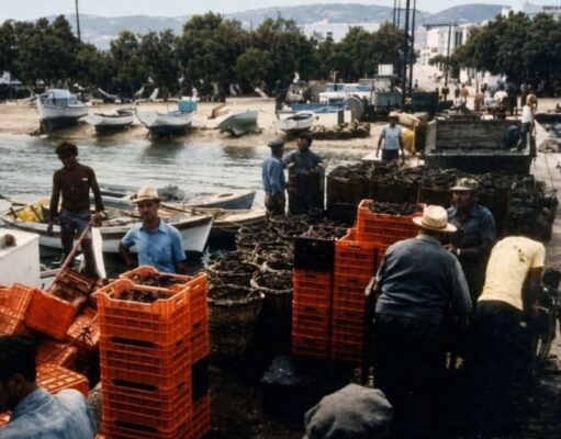 Τρύγος στην Αντίπαρο της δεκαετίας του 1980 (ΦΩΤΟΓΡΑΦΙΑ)