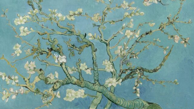 van gogk amygdalia